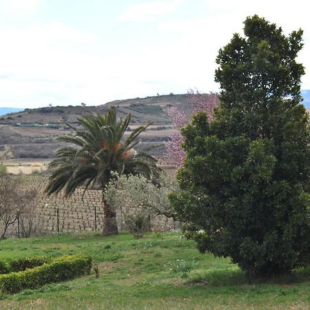 Villa Casa Pichon Etxea à La puebla de Labarca Extérieur photo