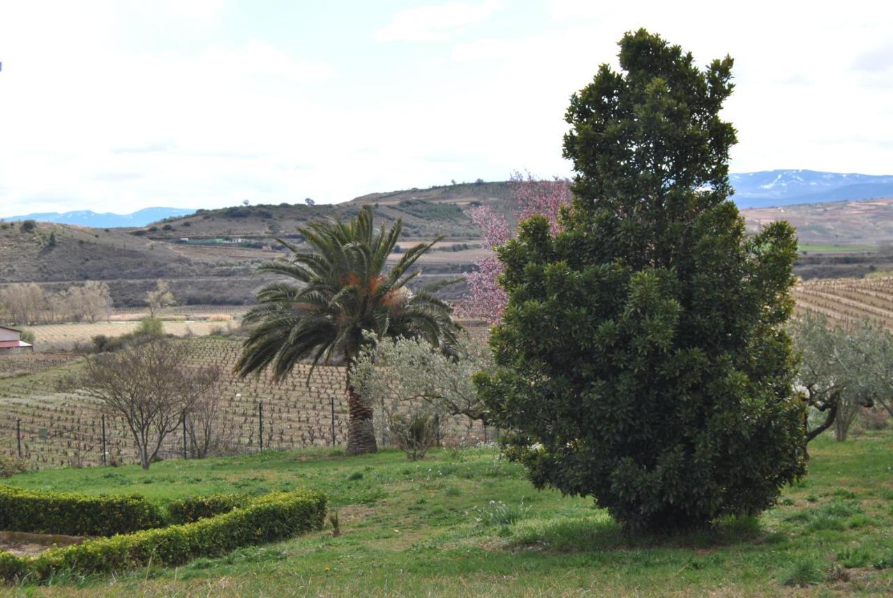 Villa Casa Pichon Etxea à La puebla de Labarca Extérieur photo